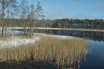 Las i jezioro. Krajobraz. Polska - Mazury - Warmia.