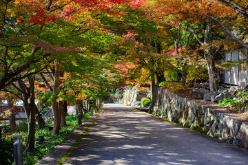 紅葉の勝尾寺
