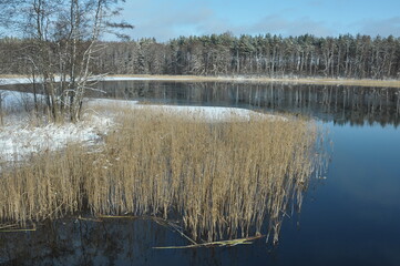 Krajobraz zimowy. Polska - Mazury - Warmia.