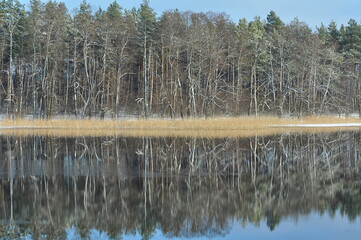 Krajobraz. Zima. Jezioro i las. Polska - Mazury - Warmia. © Rafa
