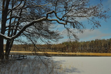 Krajobraz. Zima. Zamarźnięte jezioro. Drzewo. Polska - Mazury - Warmia. © Rafa
