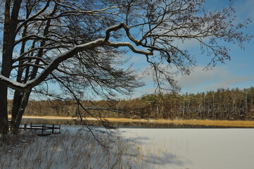 Krajobraz. Zima. Zamarźnięte jezioro. Drzewo. Polska - Mazury - Warmia. © Rafa
