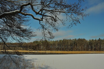 Zima. Zamarźnięte jezioro. Polska - Mazury - Warmia.