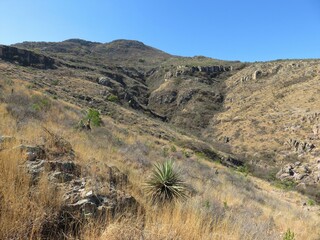 path in the desert mountains, Mexico