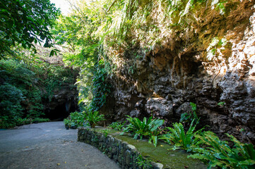 沖縄県　石垣島　サビチ鍾乳洞