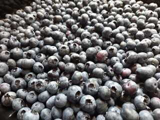 close up of blueberries