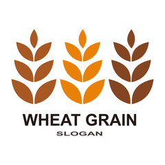 Grain wheat Logo Template vector icon design