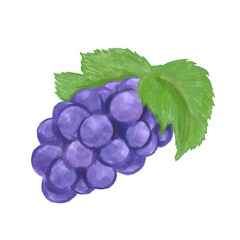 色鉛筆風のぶどうイラスト（線なし）