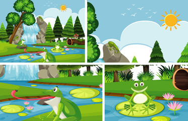 Frog at the pond set background