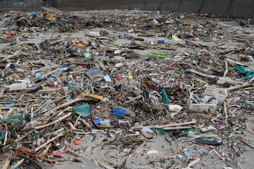 ゴミ問題 環境問題 海岸の漂着物