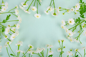 Obraz na płótnie Canvas Bouquet of white small garden flowers on light green background.