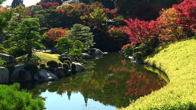 Japanese garden with pond in Hiroshima, Japan. Autumn leaves. Sankeien. 4K
