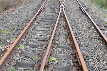 Obraz premium Abandoned railroad tracks, overgrown with grass. 