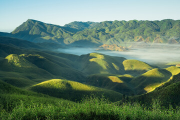 Sunkissed Dzukou Valley © Tarkik