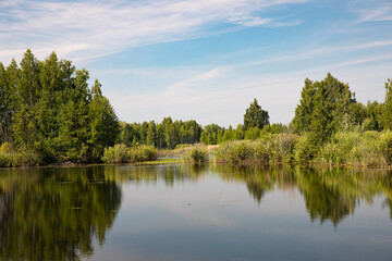 Obraz premium A picturesque lake on a Sunny summer day, the banks are covered with forest and shrubs.