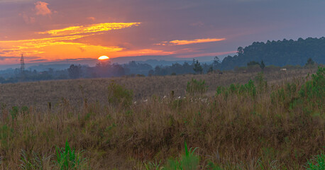 Obraz premium Sunset in the fields of the Latin American Pampa Biome