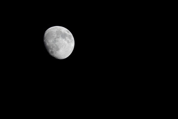 red and white moon