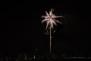 Firework at the San Diego bay