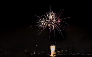 Firework at the San Diego bay