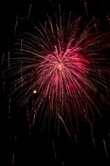 Firework at the San Diego bay