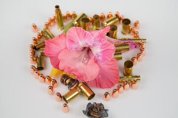 Mix of bullet with flowers to show the harmony of love