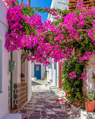 Picturesque alley in Prodromos Paros greek island with a full blooming bougainvillea !! Whitewashed traditional houses with blue door  and flowers all over !!! - obrazy, fototapety, plakaty