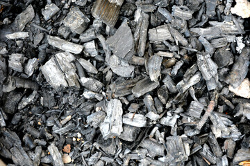 Burned wood. Charcoal. The texture of the ash.