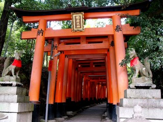 Fuskimi Inari Taisha Temple. Kyoto, Japan