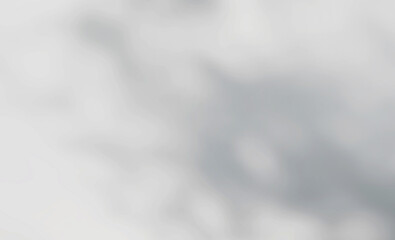 Abstract Shadows, blurred background of gray leaves and natural trees that reflect concrete walls, fallen branches on white wall surfaces for blurred backgrounds and black and white wallpapers.