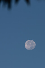 The moon over sea