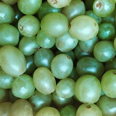 Uvas Verdes