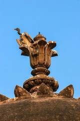 Indian Vultures on the roof of Cenotaphs in Orchha. Madhya Pradesh. India