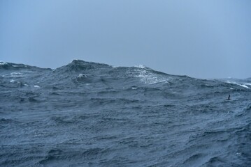 High waves on the high seas. Inside a typhoon in the Pacific Ocean. The hard work of sailors.