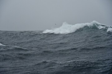 High waves on the high seas. Inside a typhoon in the Pacific Ocean. The hard work of sailors.