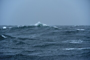 High waves on the high seas. Inside a typhoon in the Pacific Ocean. The hard work of sailors.