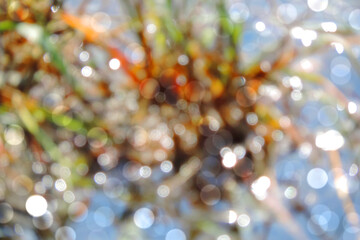 blurry background of bokeh on river banks