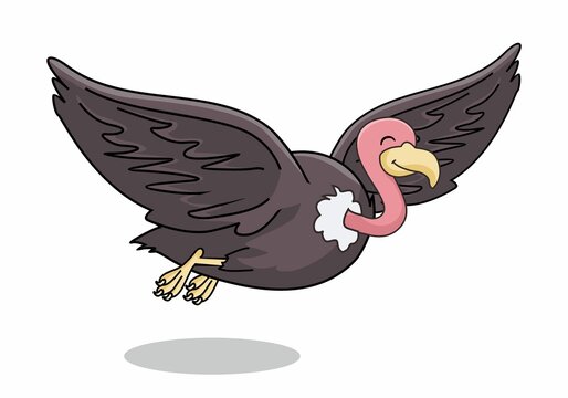 Vulture Bird Flying Cartoon Isolated Illustration