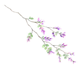 萩の水彩イラスト