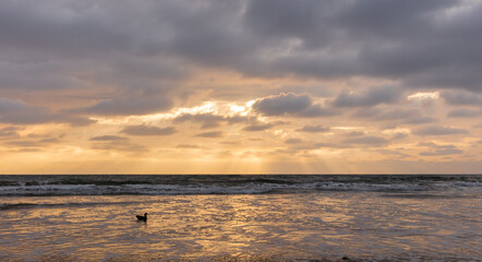 Sunset at the Torrey Pine beach, San Diego, California