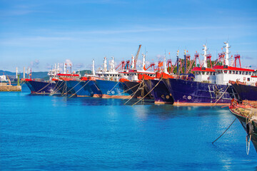 The fishing terminal is full of fishing boats during the closed season