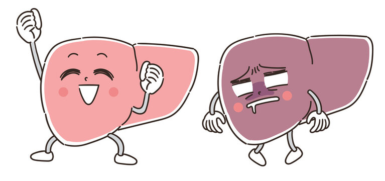肝臓の健康 キャラクターのイラスト