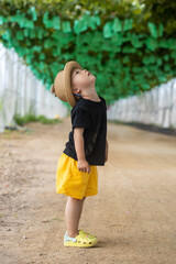 A two-year-old boy in a green vest is playing