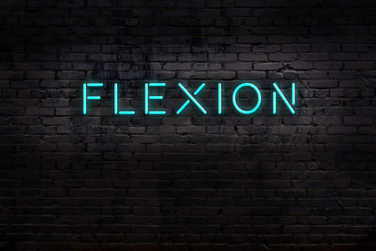 Night view of neon sign on brick wall with inscription flexion