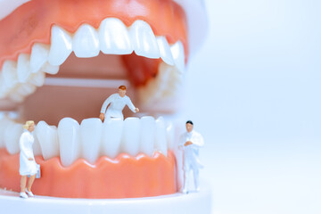 Miniature people : Dentist observing and discussing about human teeth with gums