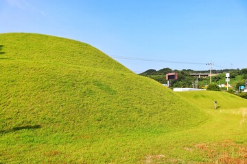 green field and blue sky