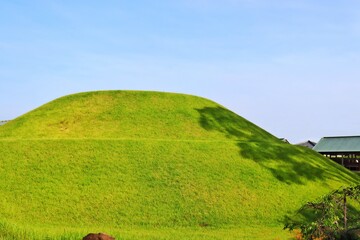 green field and blue sky