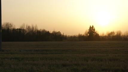 Fototapeta premium without photoshop..