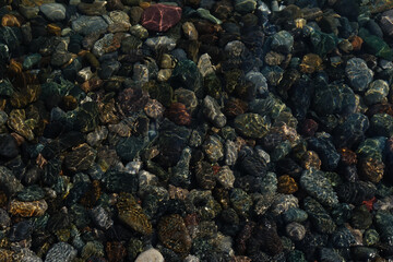   Sea pebbles under clear water near the shore with reflection of sunlight.