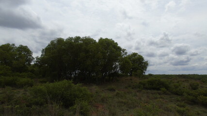 Obraz premium clouds over the forest