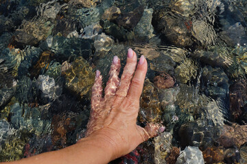  Female hand touches sea pebbles on the seashore in clear water with glare of sunlight. Vacation concept    